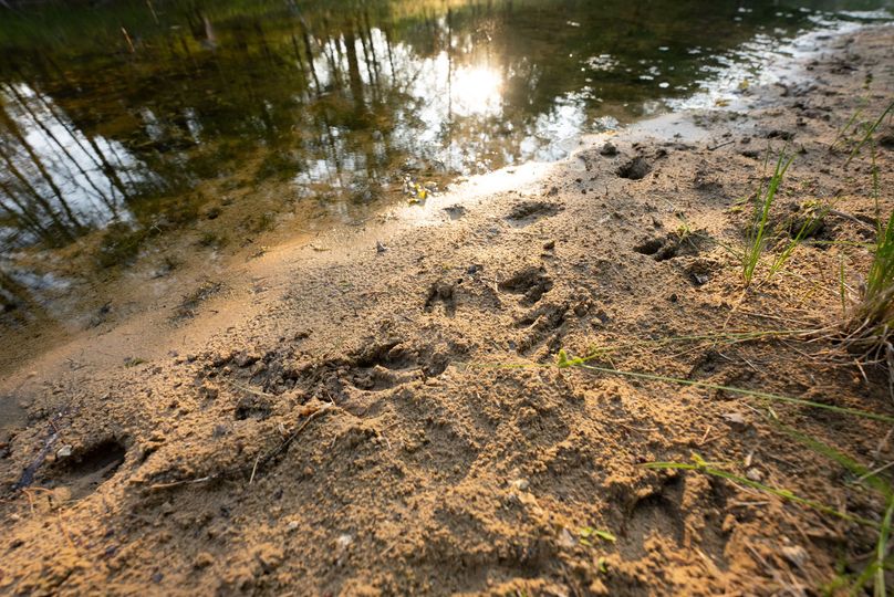 Ogemaw MI 475 Featured Pro Photo-01307