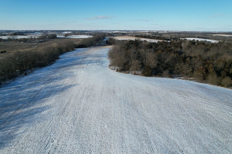 DJI_0430
