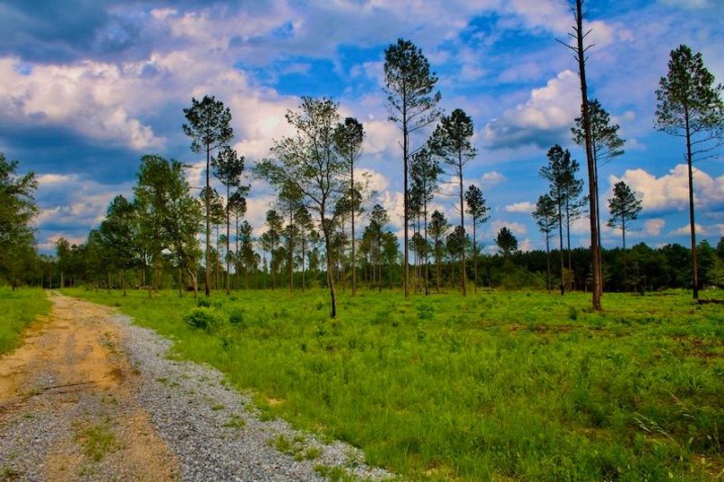 65EFA84D-5789-4F52-9B25-CFD13F9FA63A_1_105_c