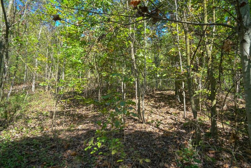 Fayette, 199, Hostetler-34