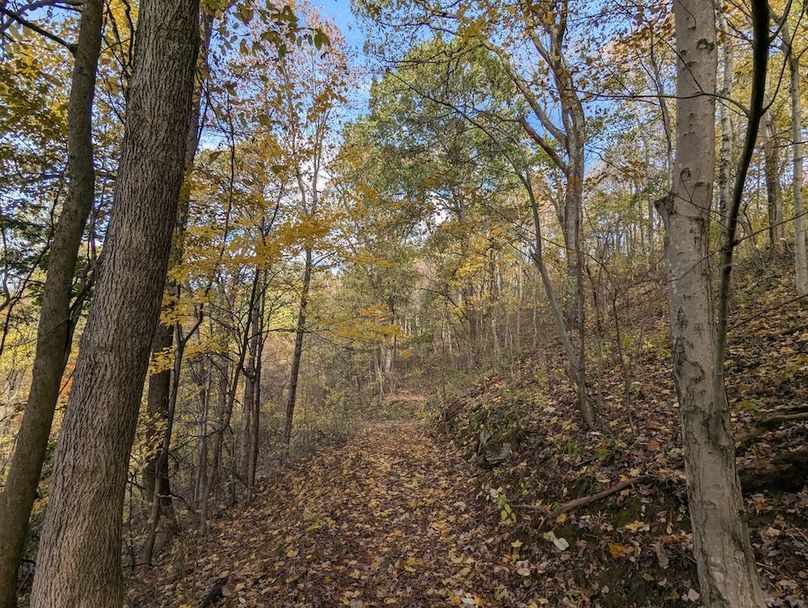 PXL_20251101_181406593