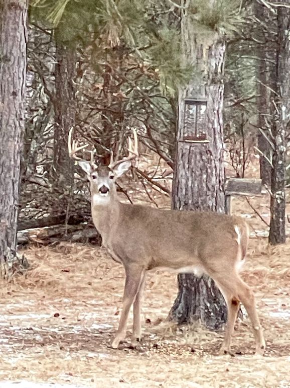 Juneau 27 Wiesner -007