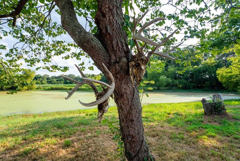 Copy of DSC06145 Large