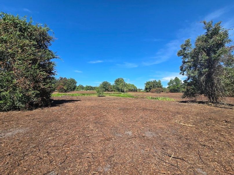 21ac, Sumter, Reelvest33