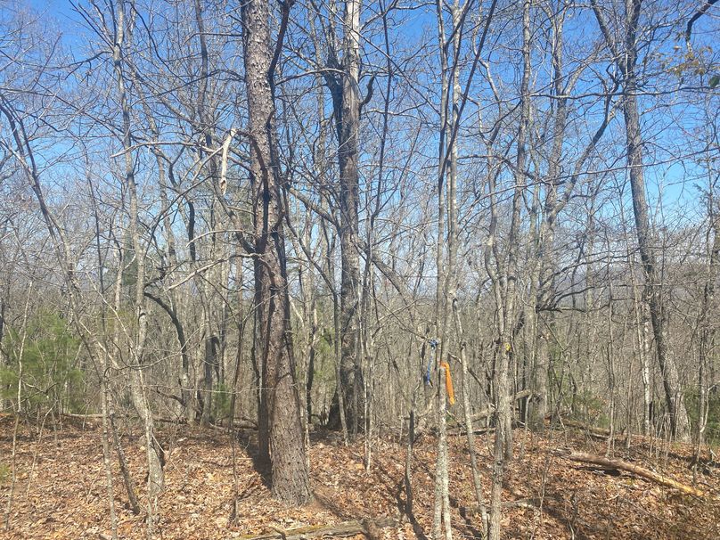 Cherokee 69.74 Stiles-31