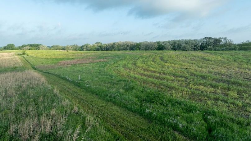 DJI_0296