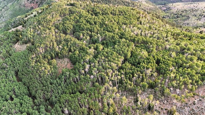 DJI_20250726191010_0301_D