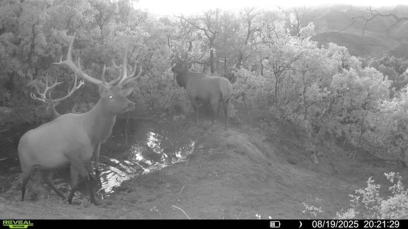 016578004083249-37-3-08192025202129-V-SYFW00050