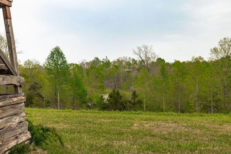 80-web-or-mls-1103 Johnny Spears Rd-85