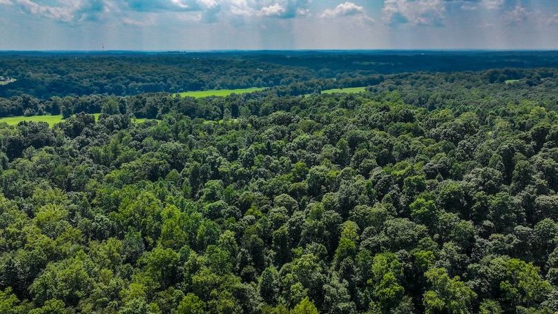 dji_fly_20250814_150724_0107_1755198680867_photo