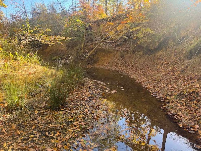 Jeff 11720251111_0216