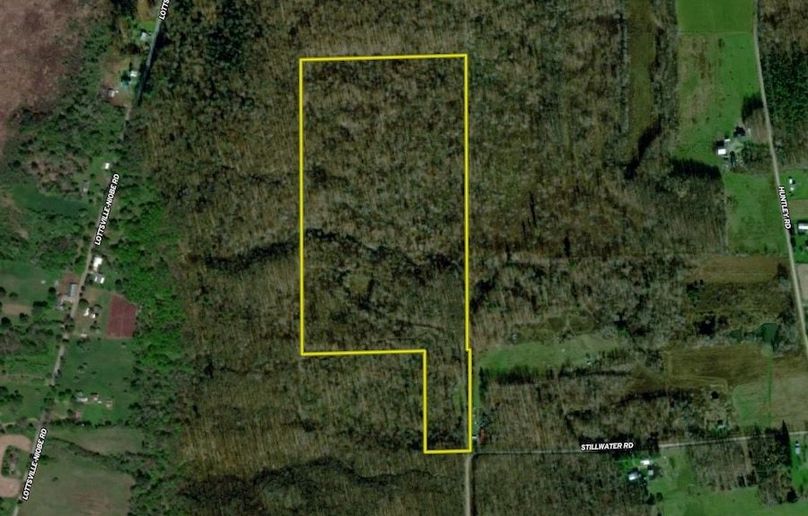 Screen Shot 2024-06-26 at 10.41.46 AM