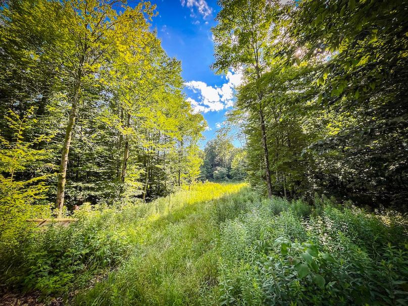 Jefferson_53.29_Johnson_Photos_26