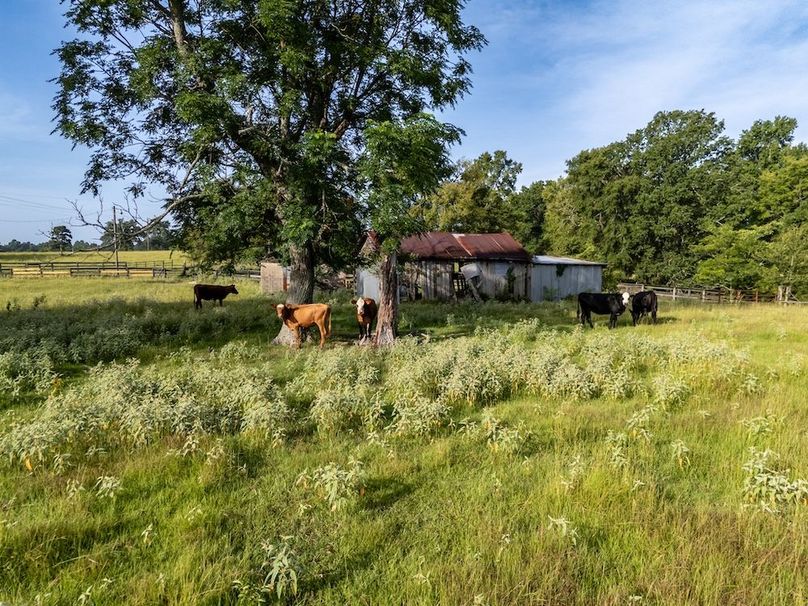 63 Upshur Co. 125Ac Reigel-59