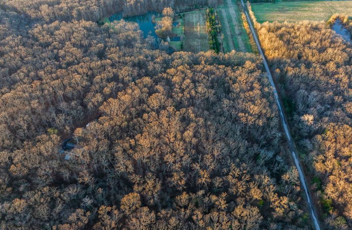 DJI_20250324064356_0004_D