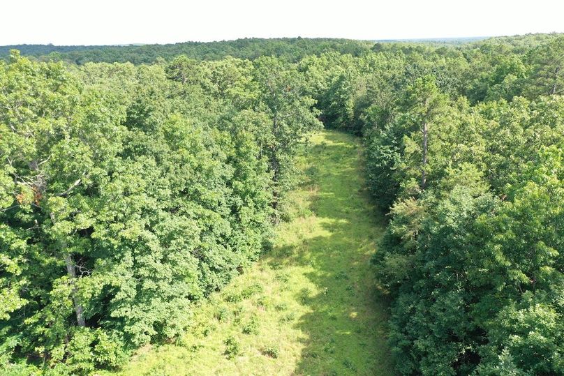 DJI_0022