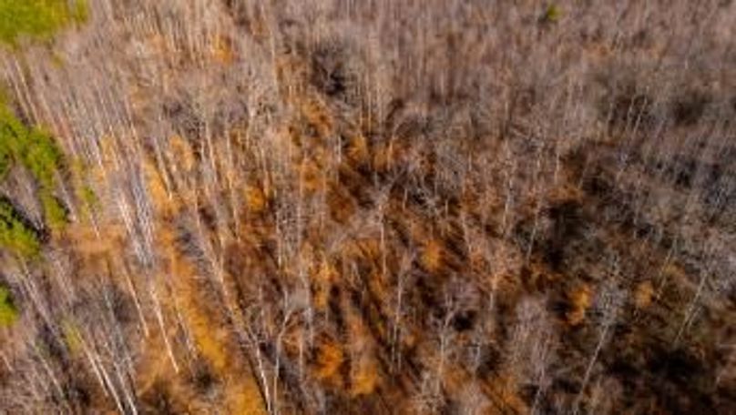 MCKINNON TRACT 18B-10