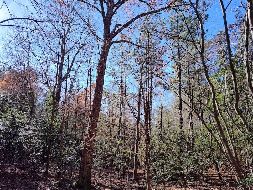 IMG_20251124_124205470_HDR