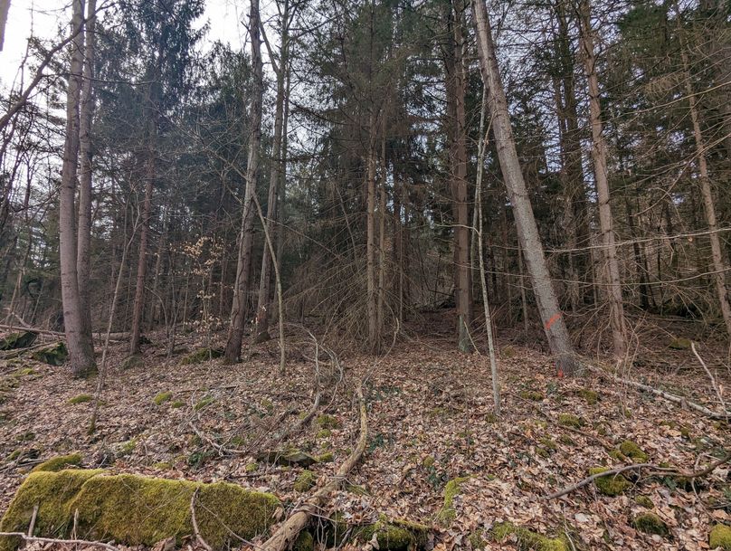 PXL_20230213_164826106