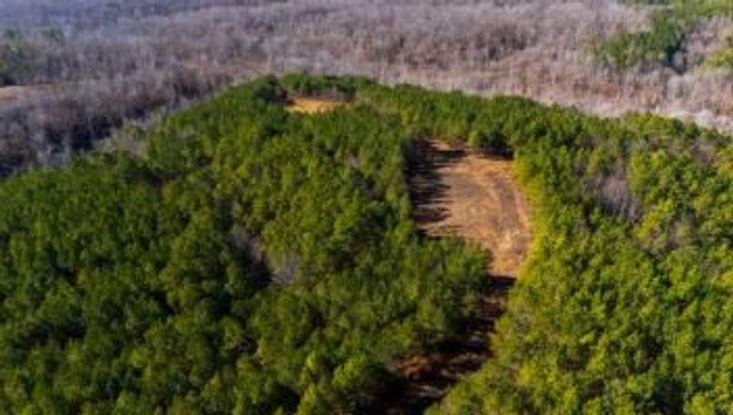 mckinnon tract 14-13