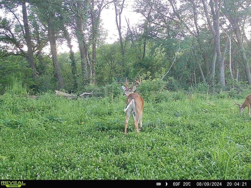 864049058900749-80-3-08092024235124-HD-SYFW4634