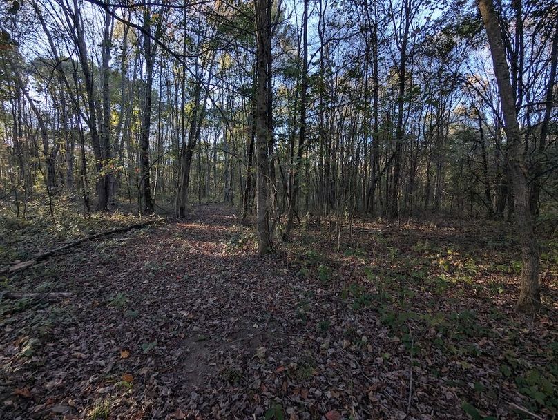 PXL_20251001_215003440