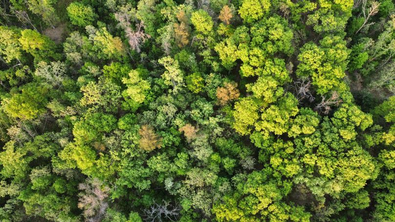 dji_fly_20230523_193710_502_1684889207916_photo_optimized