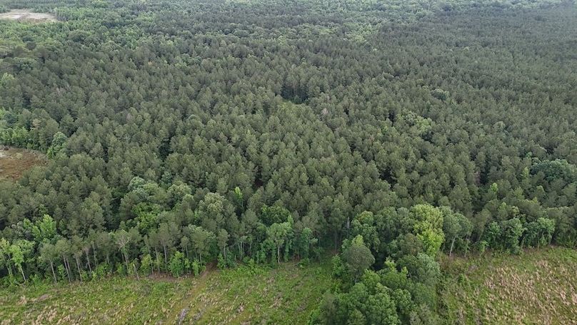 Copy of DJI_20250529224848_0539_D