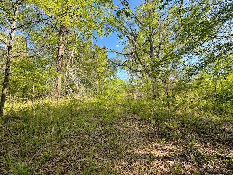 Tallahatchie 44 Newman (Crowden) Wide-11