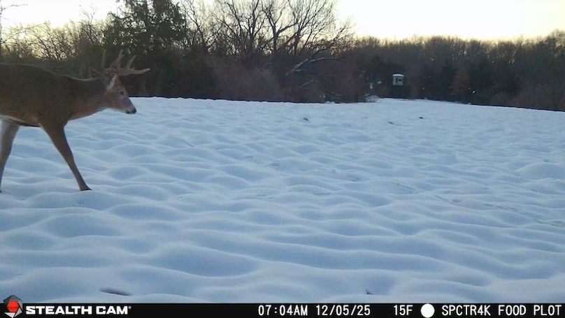 2025120507045301000418_ColorizationType.none