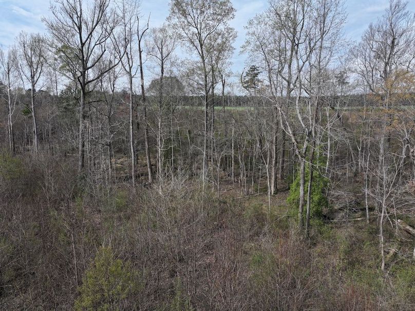 DJI_20260303063517_0546_D