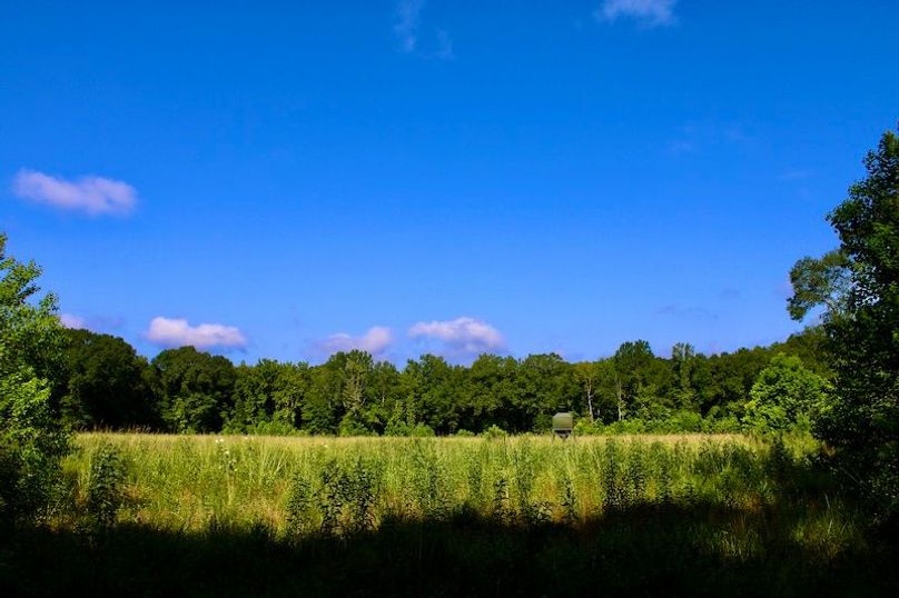 E2653FD7-4C86-4438-BC4F-E4C7F52E921D_1_201_a