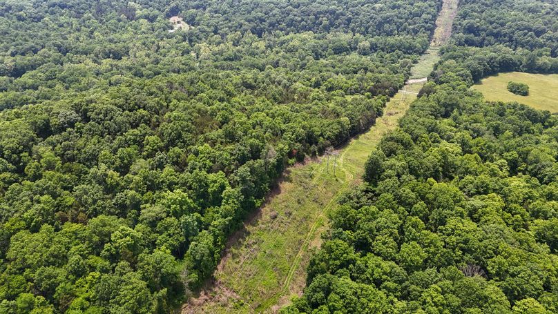 DJI_20250604133000_0019_D