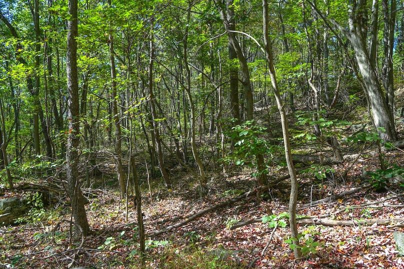 Fayette, 199, Hostetler-27