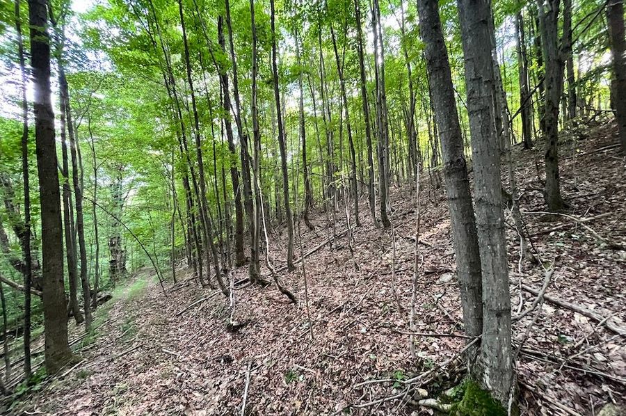 Chemung_59.085_Gutchess_Lumber_Photos_6