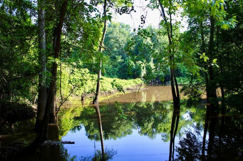 9C9F9EA4-D28E-4854-B952-B583BC054255_1_201_a