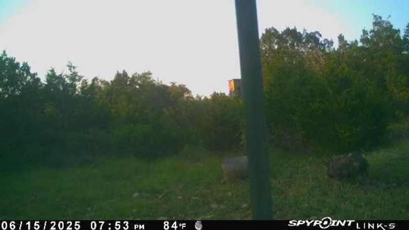 PICT3019_202506160052UBw9S