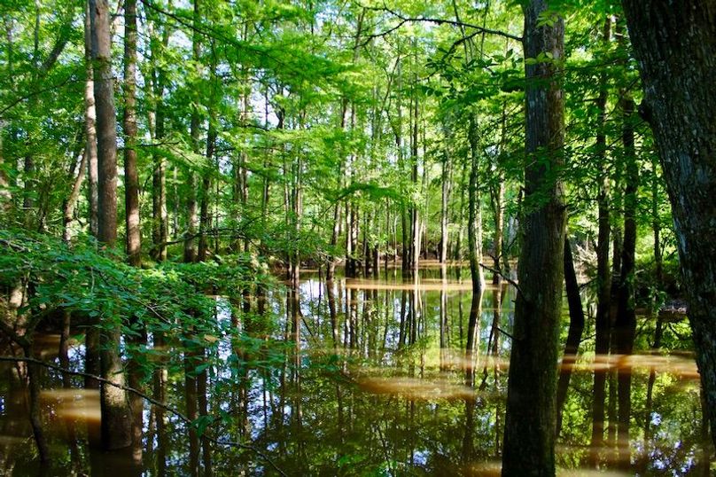 CAE8432C-E61C-4028-B34F-4439A189176D_1_201_a