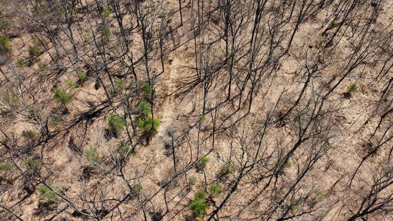 dji_fly_20230503_115430_361_1683230742935_photo_optimized