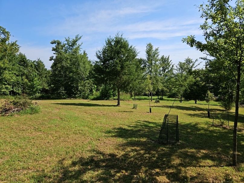 DJI_20240808_103144_132