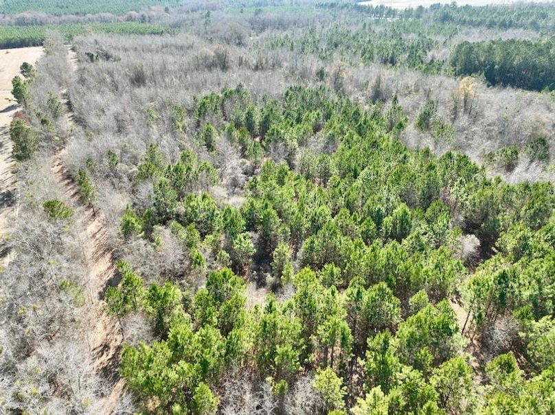 dji_fly_20260213_144324_339_1771012088704_photo