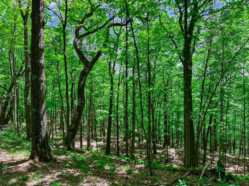 Tyler, WV 161.03 AC Fitzsimmons-095