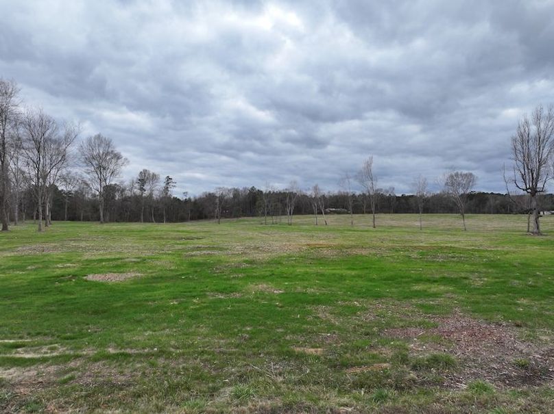 Copy of dji_fly_20260217_142726_0131_1771436927479_photo