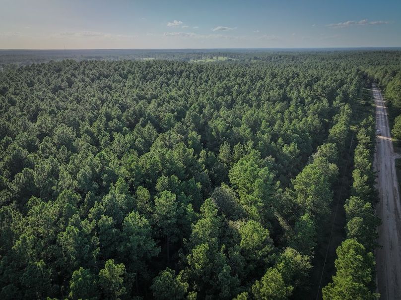 Copy of DJI_20240704190308_0021_D