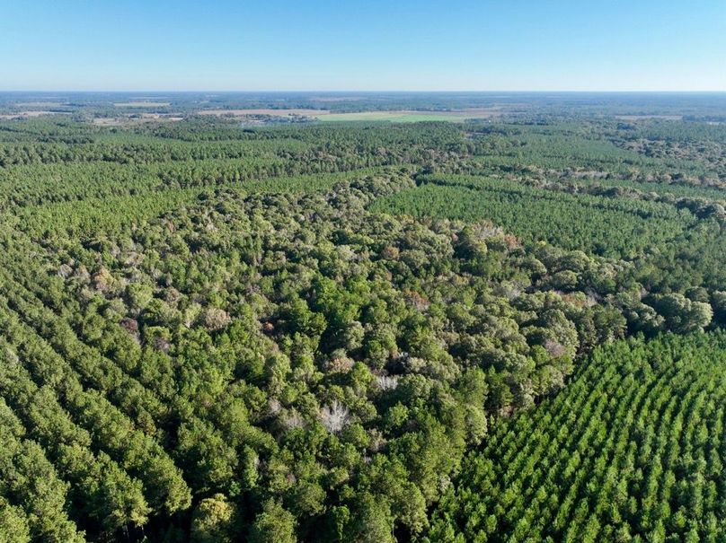 dji_fly_20251031_100754_984_1761919968255_photo