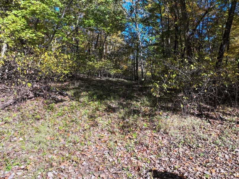 Copy of DJI_20251031134734_0801_D