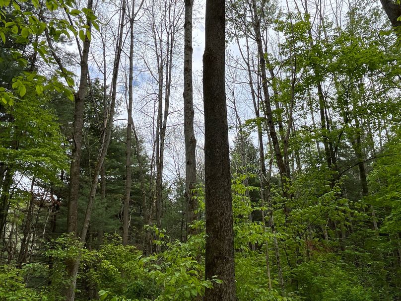 Tioga_18.72_Coulson Photo 7