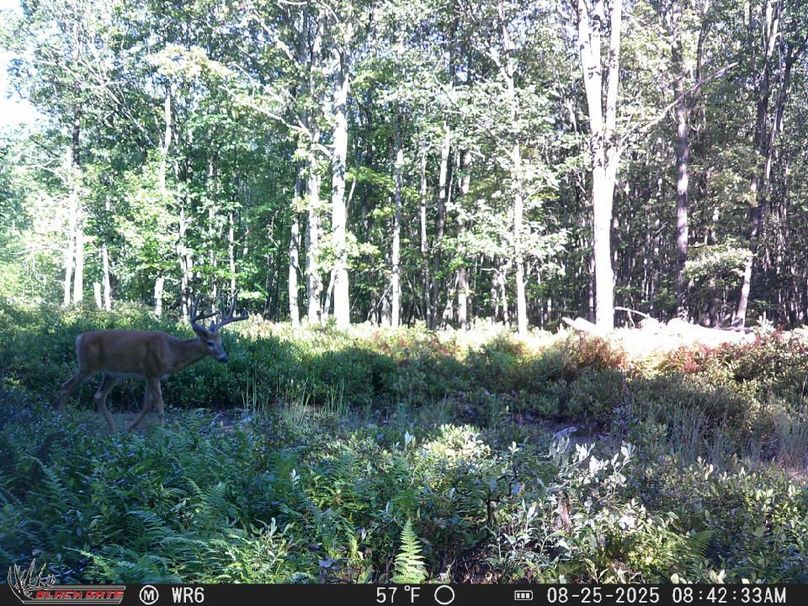 9E5FF4F3-E6D7-4AFE-B7C9-F6282DFF3703