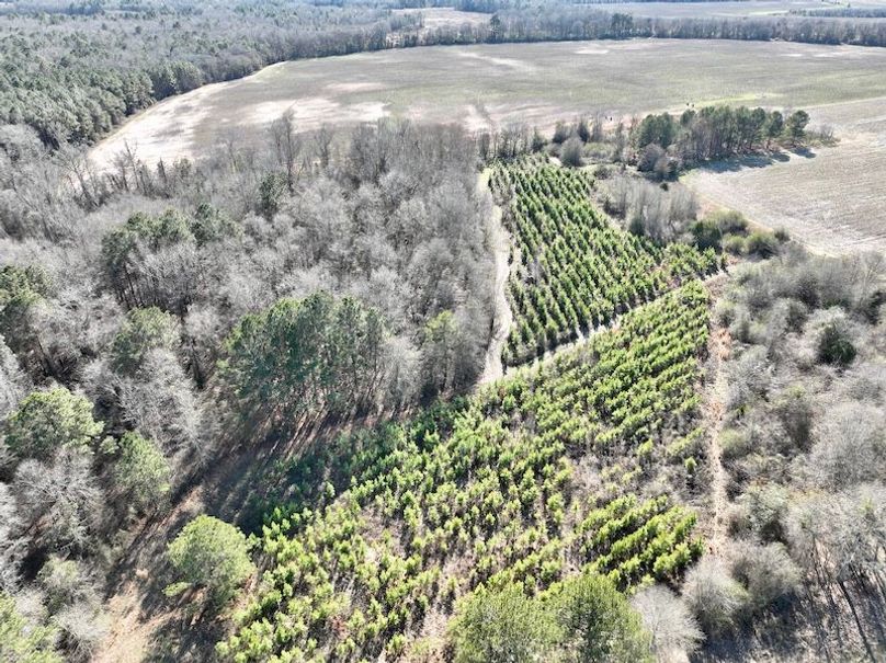 dji_fly_20260115_144330_137_1768507028530_photo