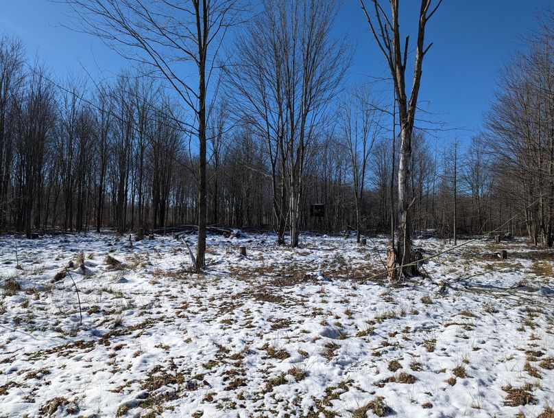 PXL_20230202_164521425